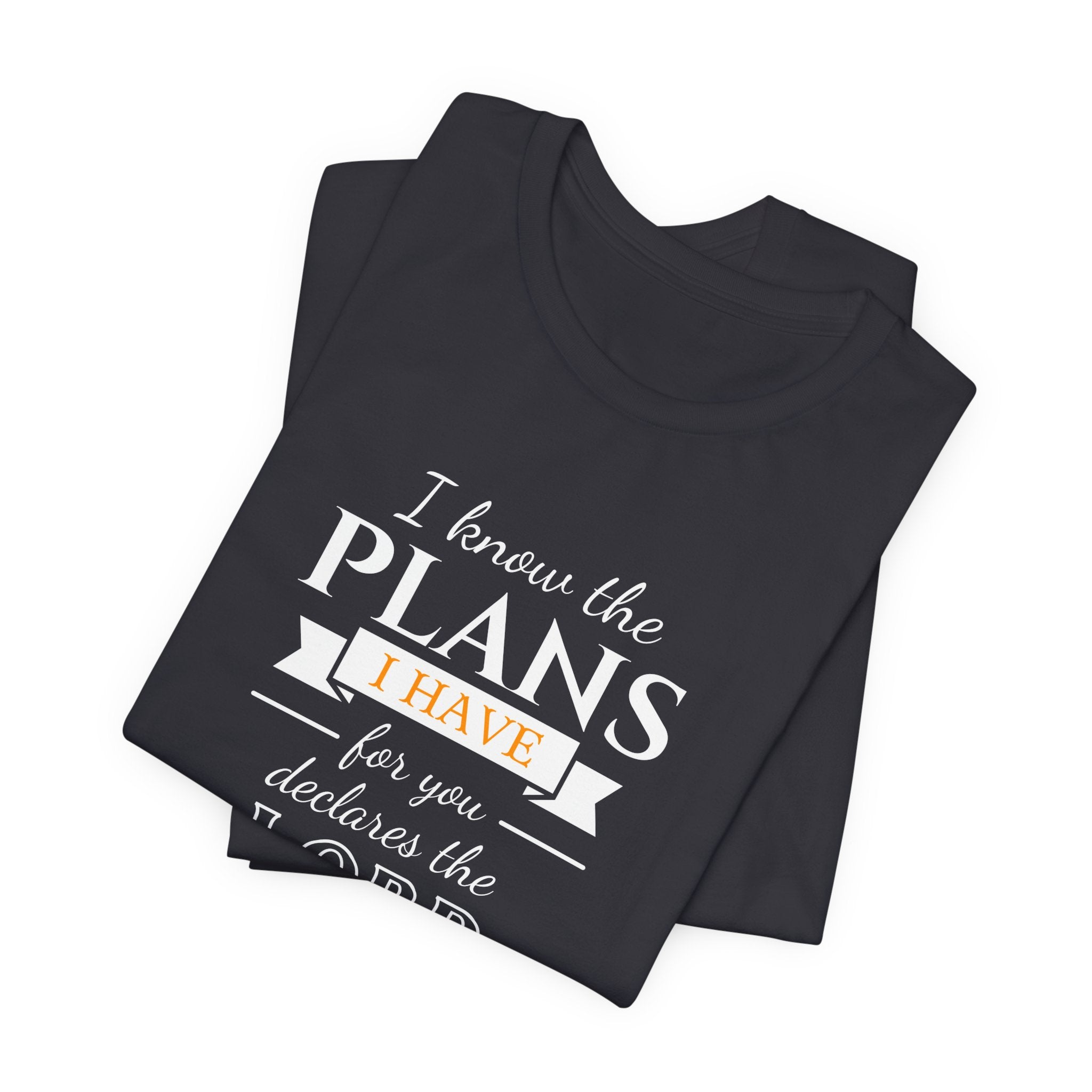 Jeremiah 29:11 Tee