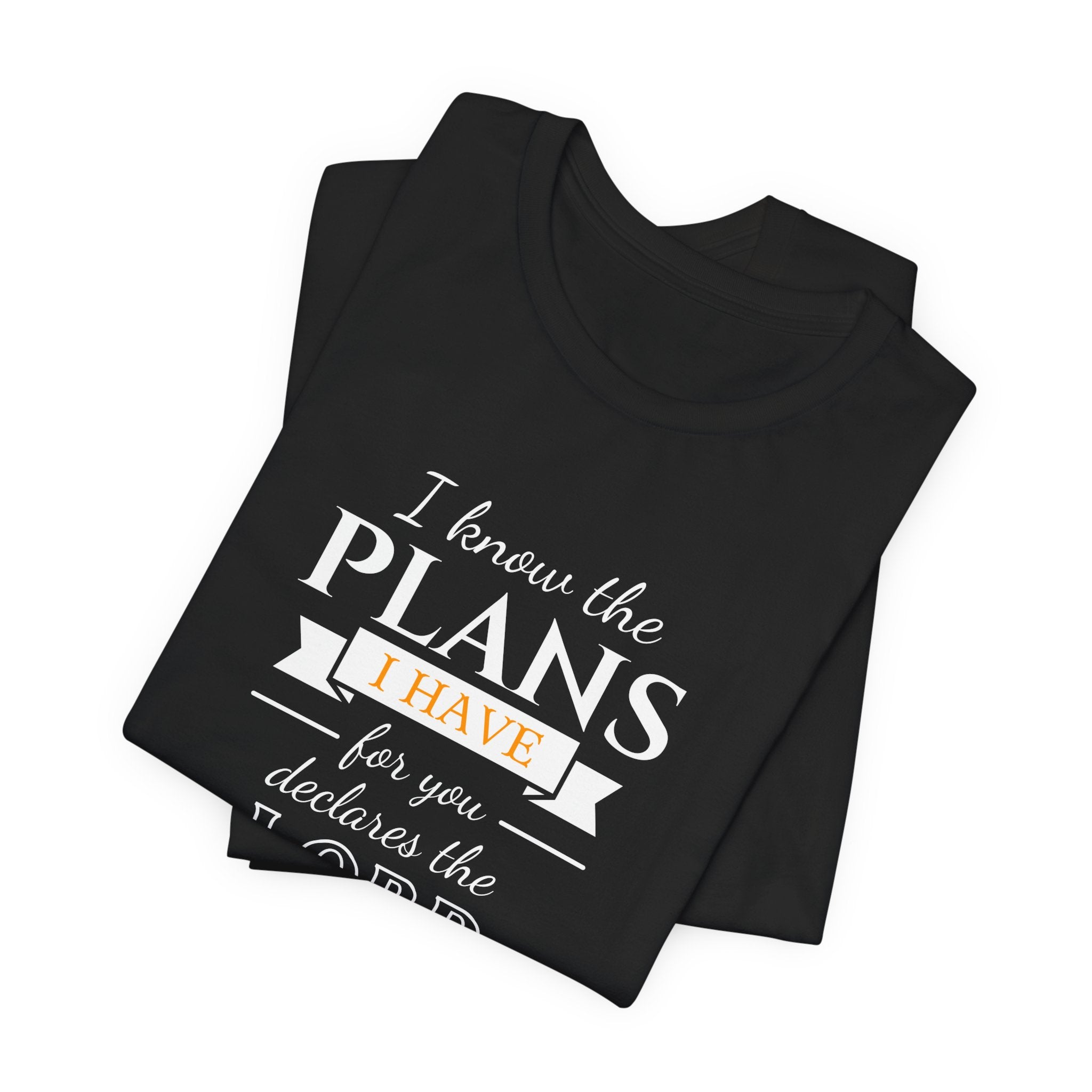 Jeremiah 29:11 Tee