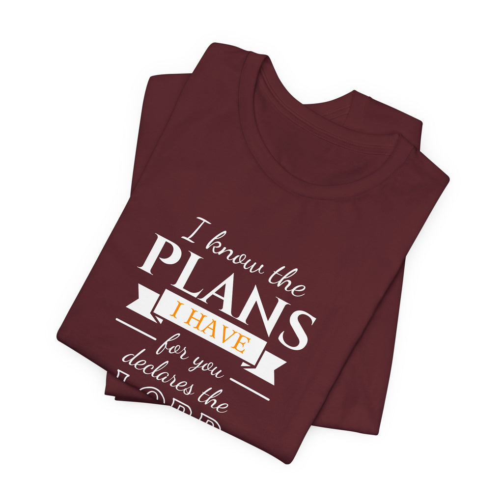 Jeremiah 29:11 Tee